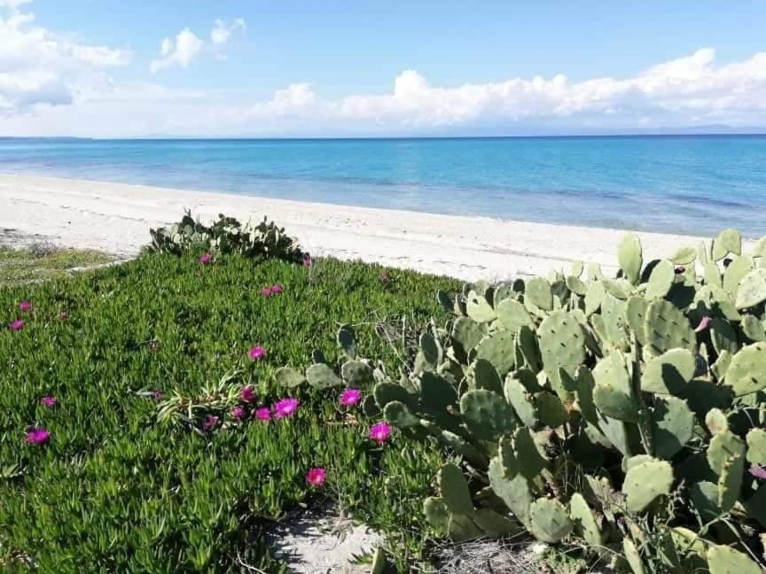 Villa Christina Sea Side A Χανιώτη Εξωτερικό φωτογραφία