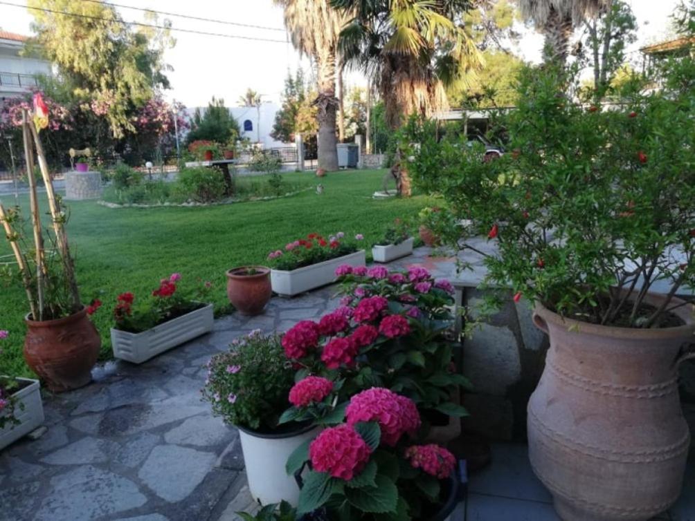 Villa Christina Sea Side A Χανιώτη Εξωτερικό φωτογραφία