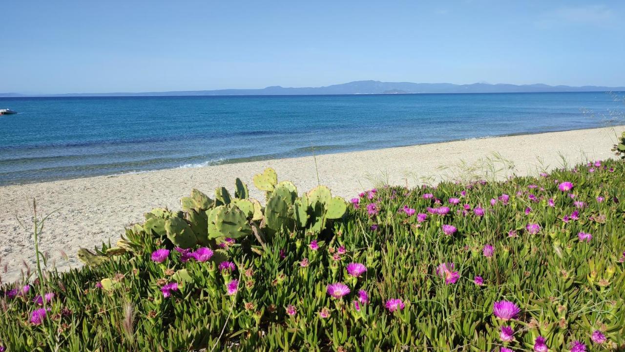 Villa Christina Sea Side A Χανιώτη Εξωτερικό φωτογραφία